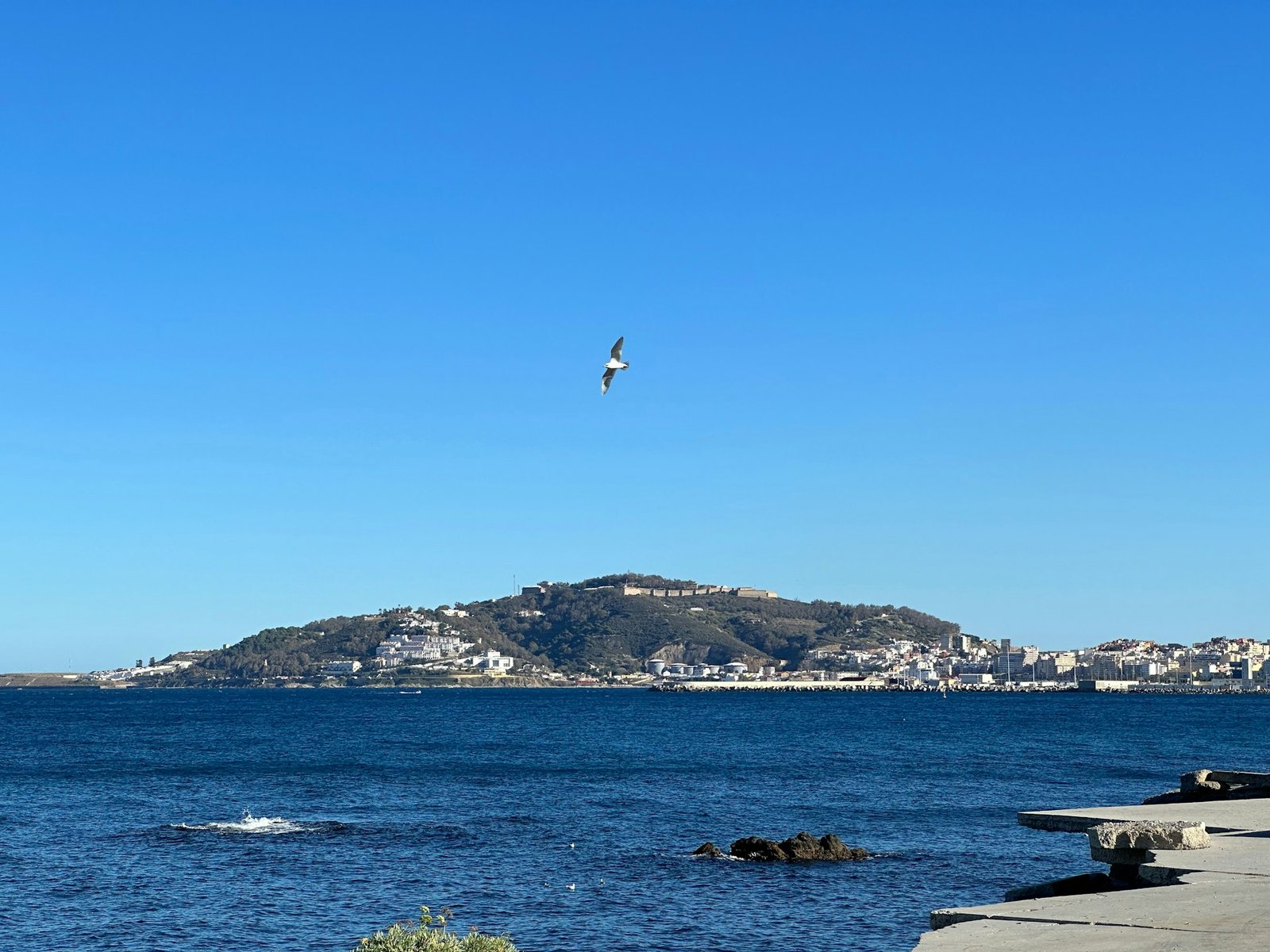 Monte Hacho and the Ceuta peninsula across the bay