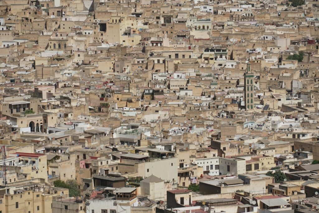 Fes el Bali seen from above, with its minarets and flat roofs