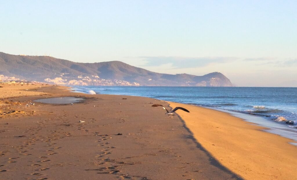 Mediterranean beach at Martil, at the end of a Tangier to Tetouan transfer
