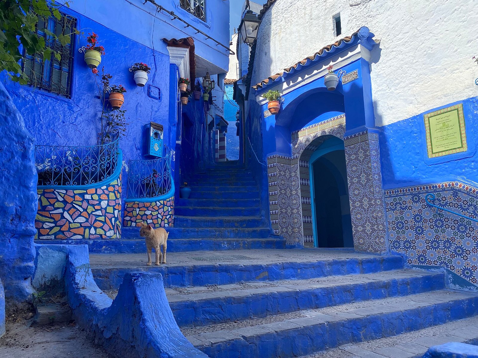 Blue stairs and tiled steps in a lane of Chefchaouen