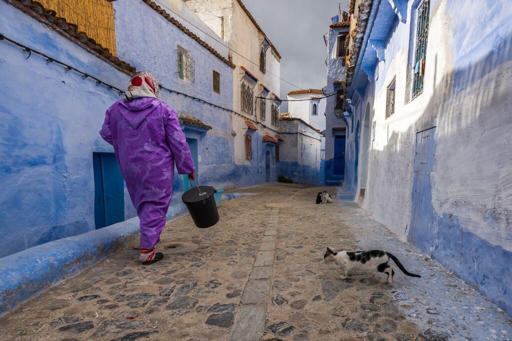 A woman in a purple djellaba walks down a blue street in Chefchaouen with cats