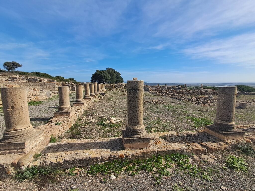 Roman columns on the archaeological site of Lixus near Larache, south of Tangier